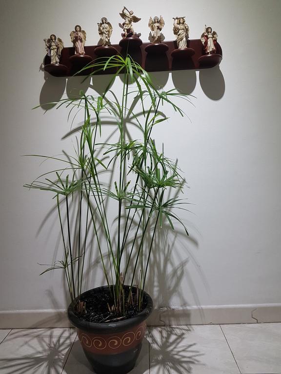Appartement Tu Hogar Cerca A La Zona T à Bogotá Extérieur photo